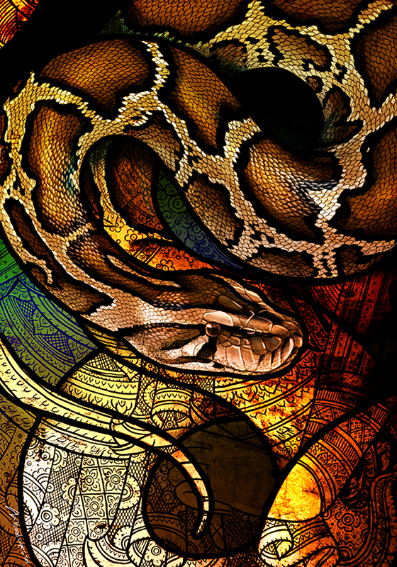 Burmese Python by Culpeo-Fox on DeviantArt
