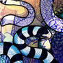 Yellow-Lipped Sea Krait