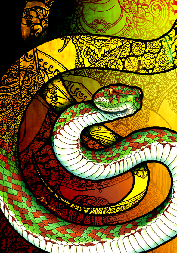 Beautiful Pit Viper by Culpeo-Fox