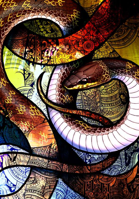 Common Wolf Snake by Culpeo-Fox