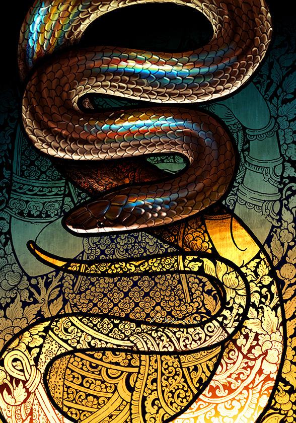 Змея на заставку телефона. Змея арт. Магическая змея. Змеи арты. Красивая змея арт.