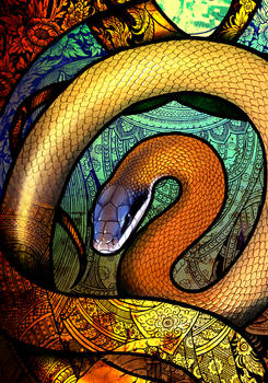 Cave-Dwelling Rat Snake