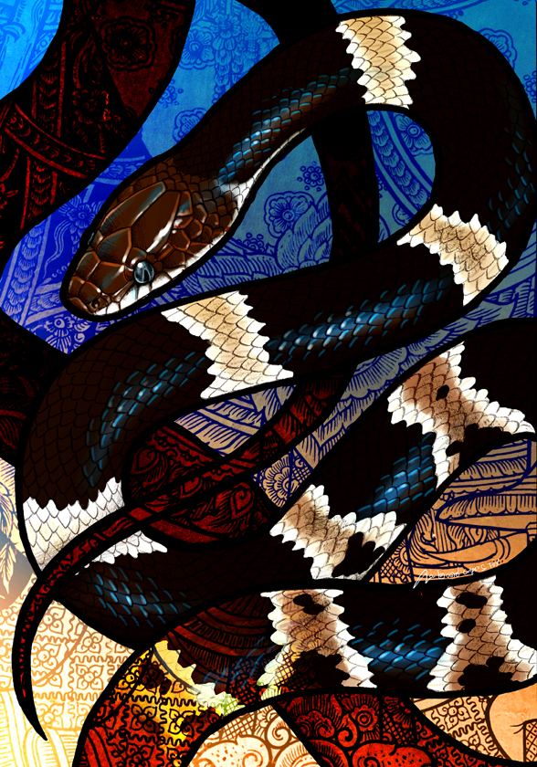 Banded Wolf Snake by Culpeo-Fox