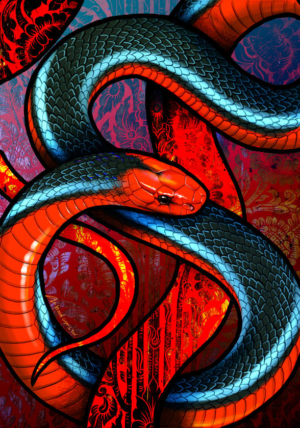 Черно красно белые змеи