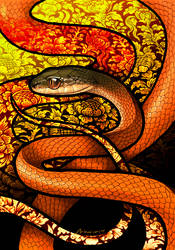 Black-Headed Cat Snake by Culpeo-Fox