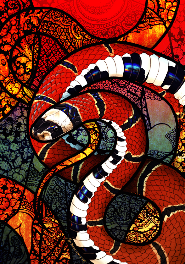 Red Headed Reed Snake by Culpeo-Fox on DeviantArt