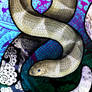 Spine-Bellied Sea Snake
