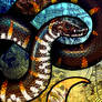Red-Tailed Pipe Snake