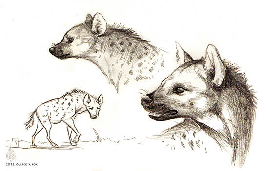Sketchy Hyenas