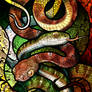 White-Spotted Cat Snake