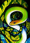 Green Rat Snake by Culpeo-Fox