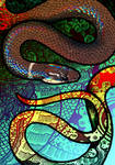 Long-Headed Reed Snake by Culpeo-Fox