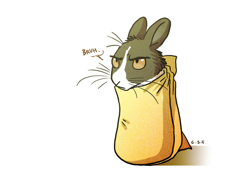 Bunny Burrito by Culpeo-Fox on DeviantArt