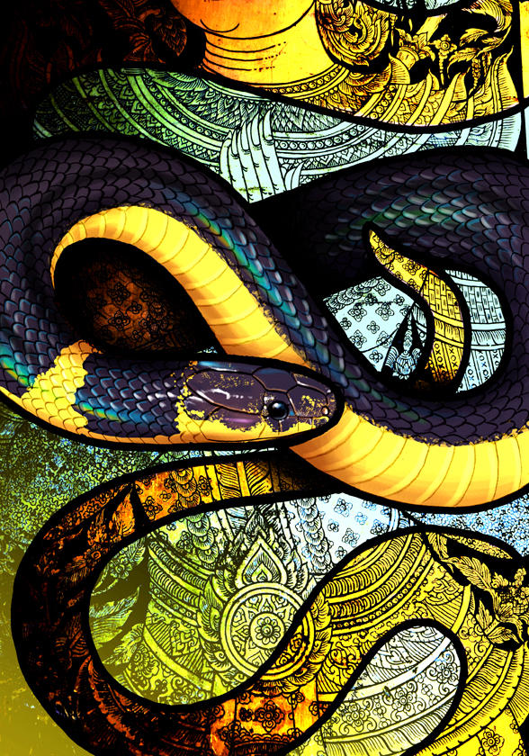 Collared Reed Snake by Culpeo-Fox on DeviantArt