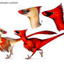 Cardinalisraptor cardinalis