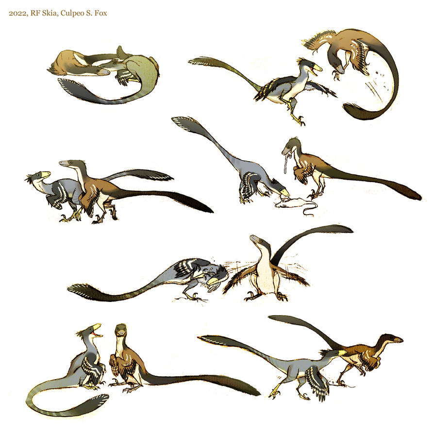 Happy Raptors by Culpeo-Fox on DeviantArt