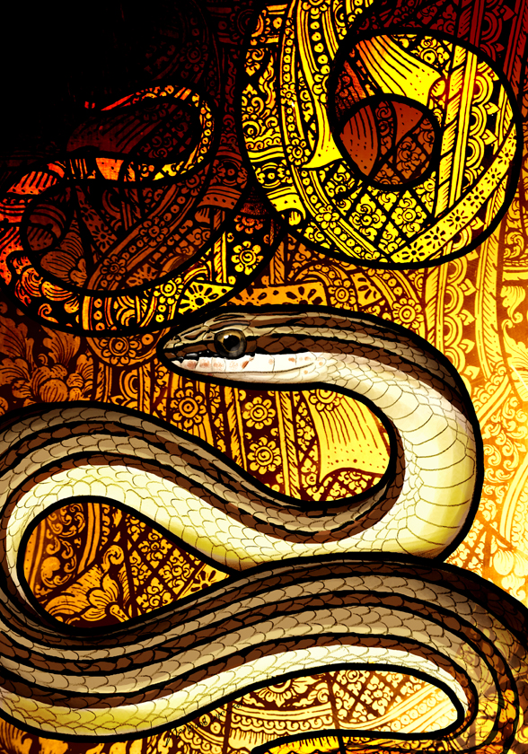 Indo-Chinese Sand Snake