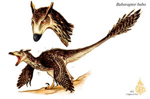 Buboraptor bubo