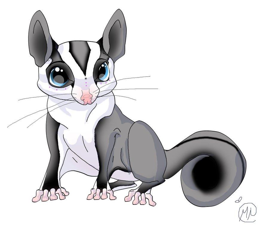 Sugar Glider by WesternSpice on DeviantArt Sugar Glider by WesternSpice on DeviantArt