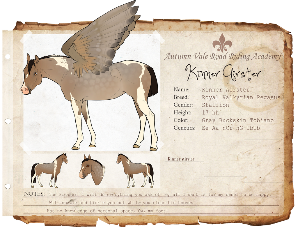 Kinner Types Kinner Airster by WesternSpice on DeviantArt