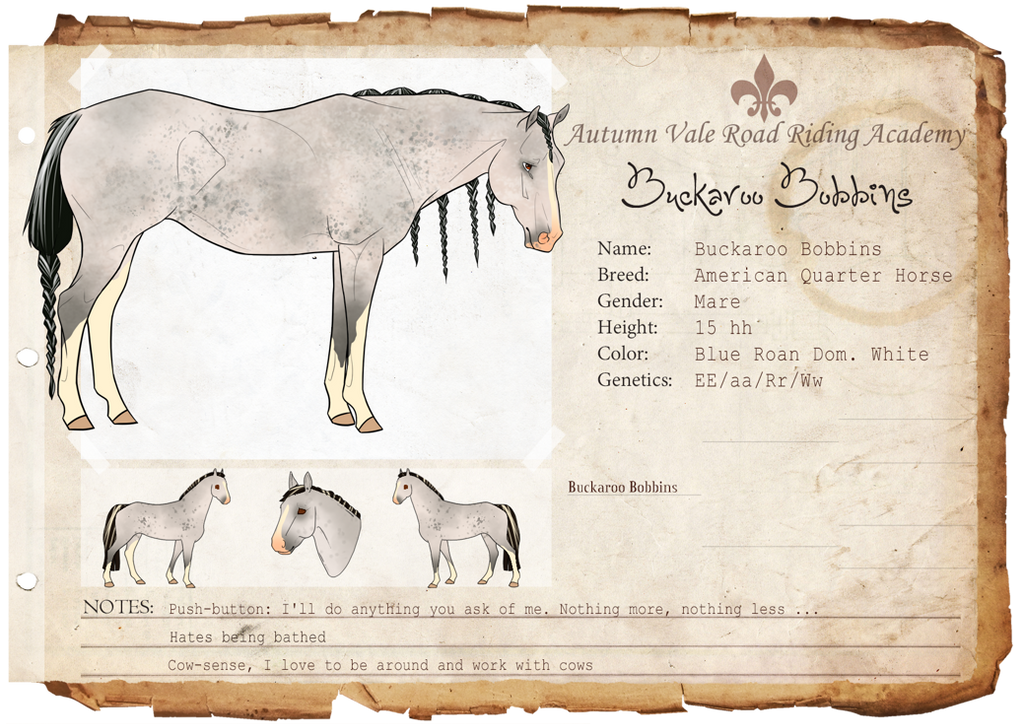 Buckaroo Bobbins by WesternSpice on DeviantArt