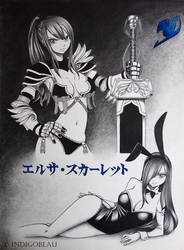 Fairy Tail: Erza Scarlet