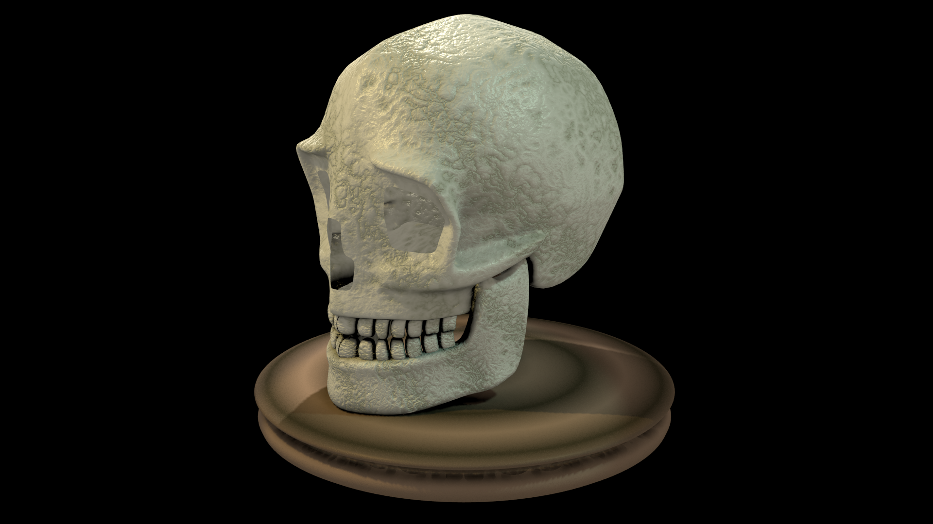 3D Skull