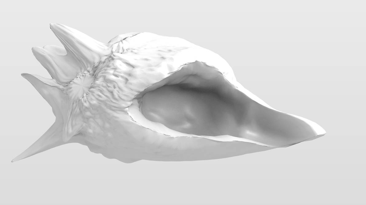Conch Shell Old Sculpt by Dr-Pen on DeviantArt