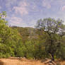 Vivid Panorama of the Cleveland National Forest