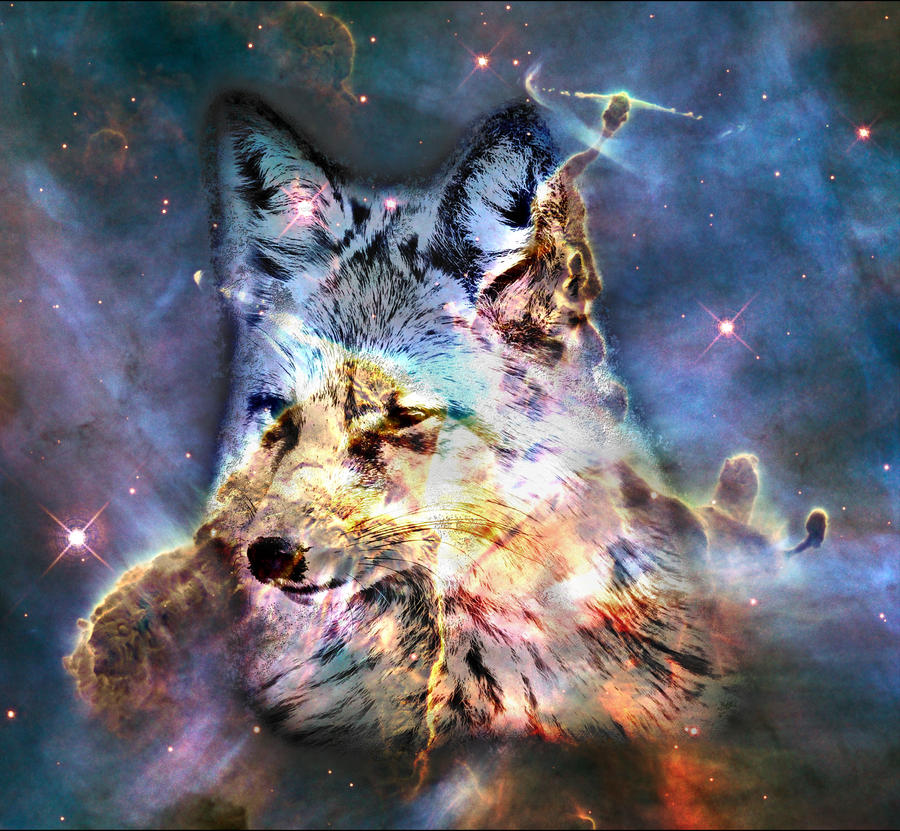 Space Fox no4 by Dr-Pen