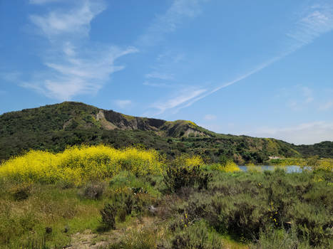 Hiking in Greater San Diego County Landscape