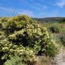 Hiking in Greater San Diego County Landscape