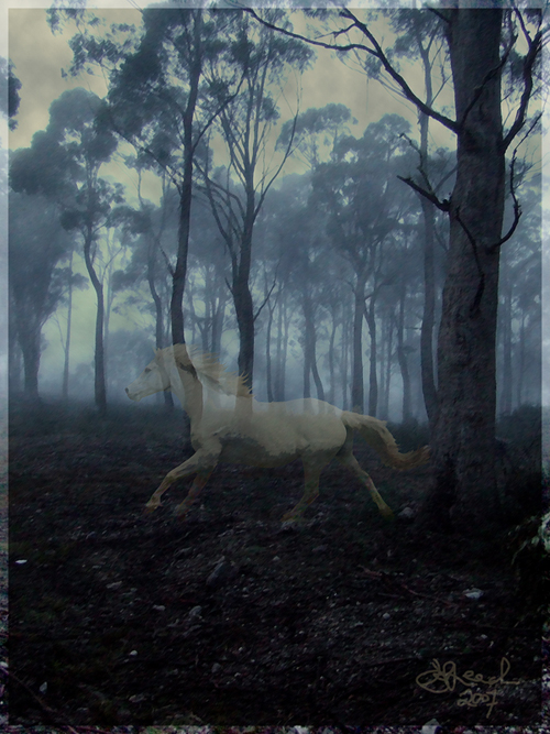 The Ghost Horse