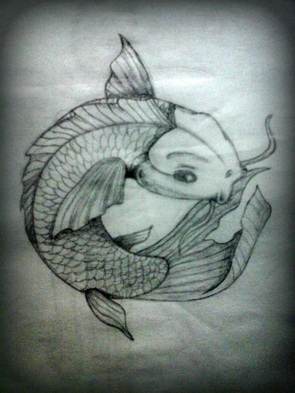 Koi Fish