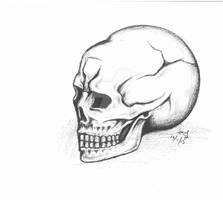 Skull - Tattoo Design?