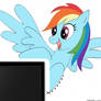 Rainbow Dash Monitor Buddy