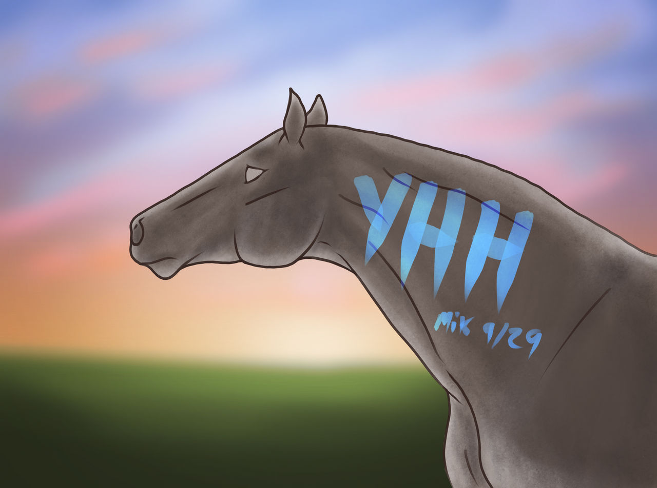Interrobang Design ||Your Horse Here|| Auction OPEN by Interrobang-designs on DeviantArt