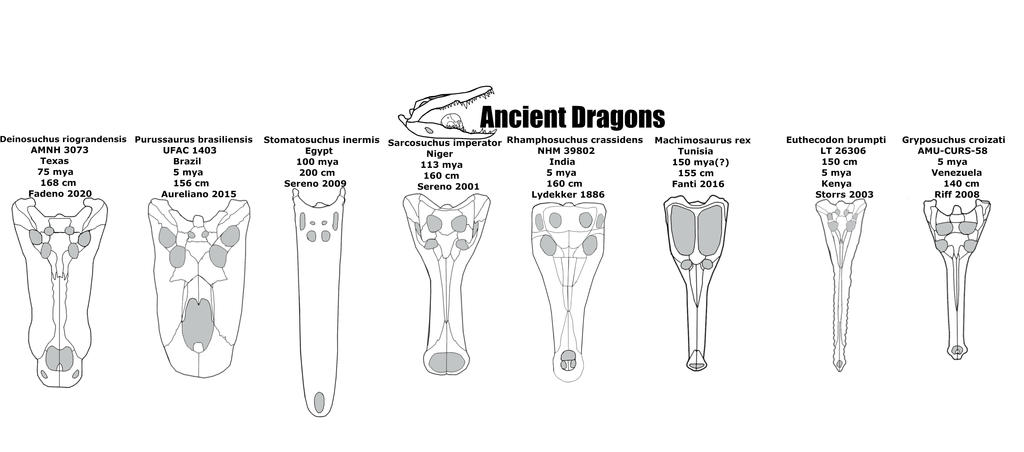 Deinosuchus rugosus size chart by Fadeno on DeviantArt
