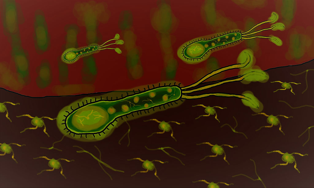 Subnautica Kharaa Bacterium by MrSliverwing on DeviantArt