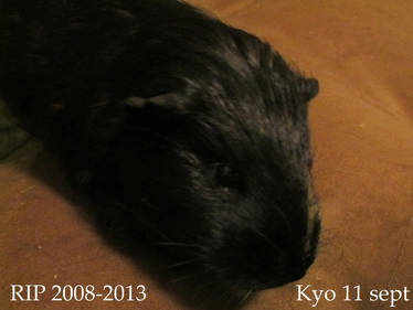 Kyo 1 day before he went to heaven