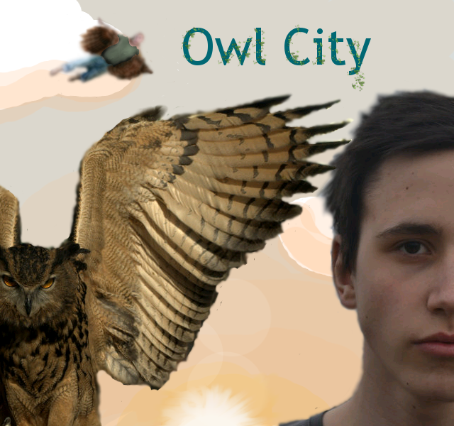 Owl City Book Cover