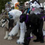 Expo: quad 'n' fur meet