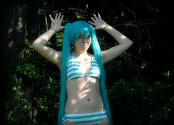 Hatsune Miku- Summer Spirit