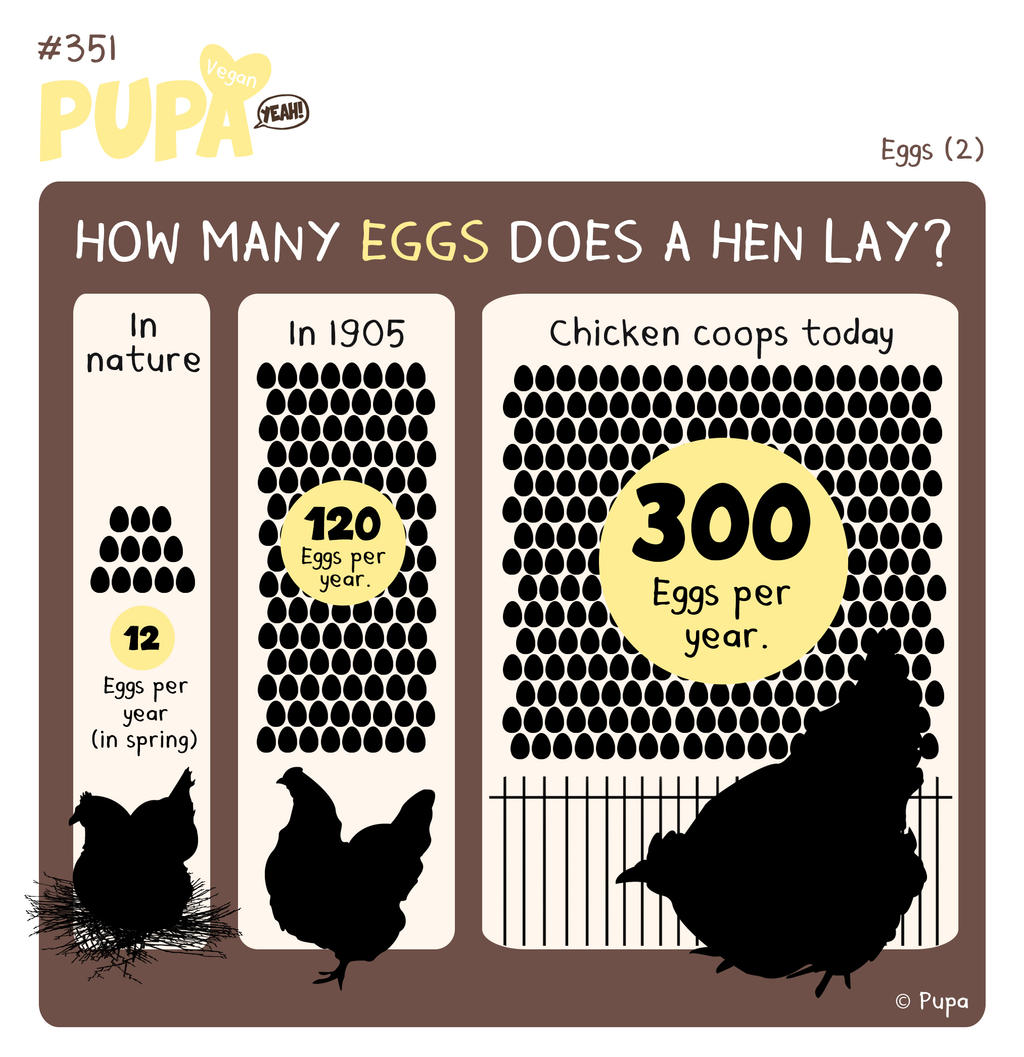 #351: Eggs (2) by Pupaveg