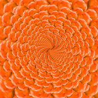 Not so perfect orange fractal