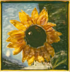 Leos Sunflower 1 by PolaroidVanGogh