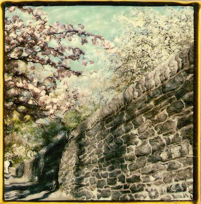 Cherry Blossoms and Stone