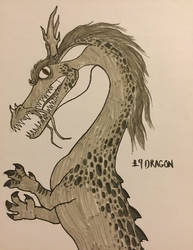 Day 4. Dragon