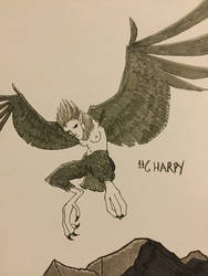 Day 6. Harpy