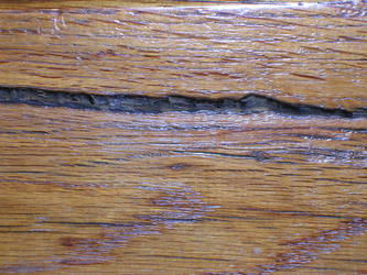 Wood Texture